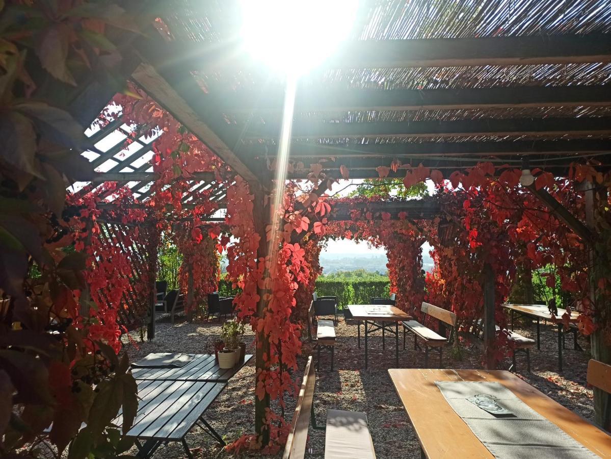 ホテル Wirtshaus Leindl クレムス アン デル ドナウ エクステリア 写真